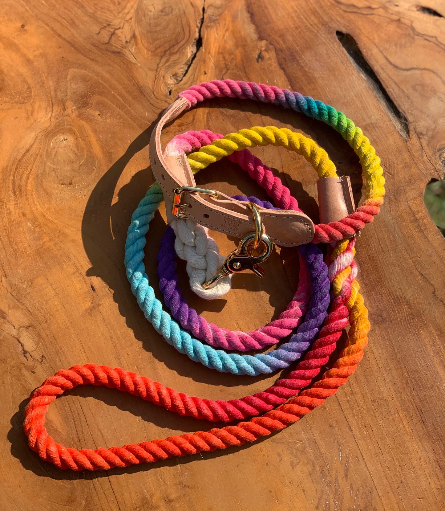 BULPET Eco Friendly Natural Cotton Handmade Dog Ombre Rainbow Rope Leash with Leather and Gold Brass Hardware/ All Dogs