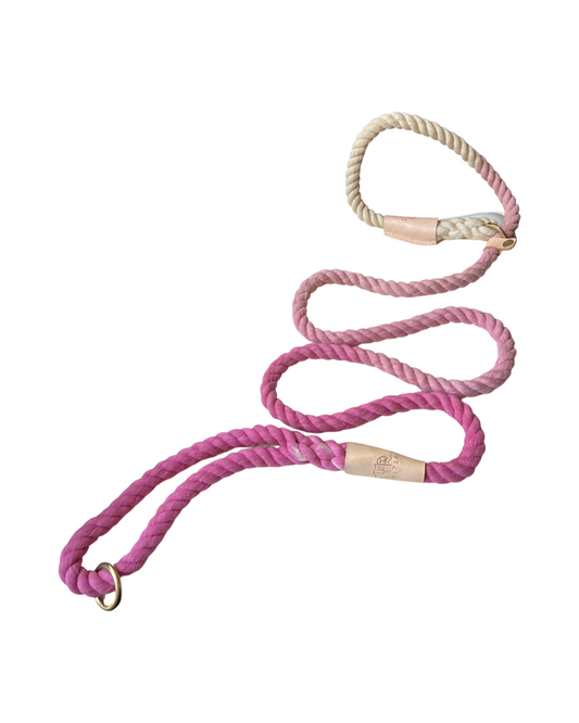 Eco Friendly Organic Cotton Durable Thick Slip Dog Rope Leash with Vegan Leather