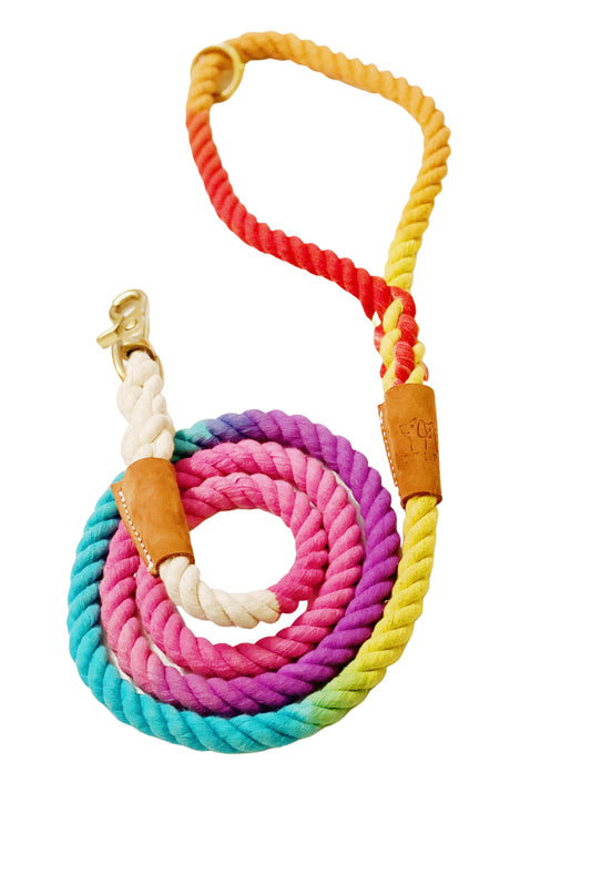 BULPET Eco Friendly Natural Cotton Durable Dog Ombre Rainbow Rope Leash with Brown Leather and Gold Brass Hardware / All Dogs